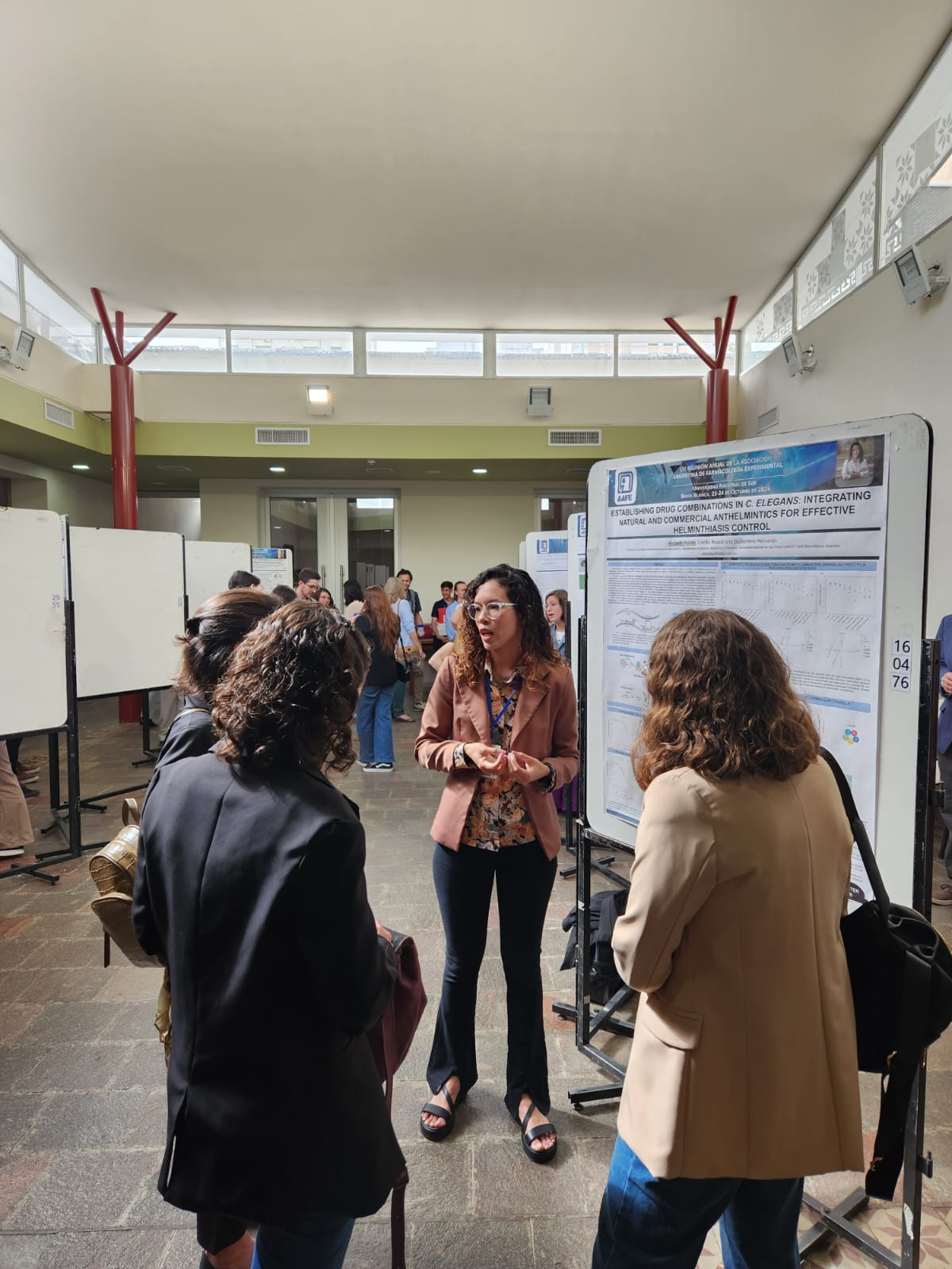 🔬 LVI Reunión Anual de la AAFE